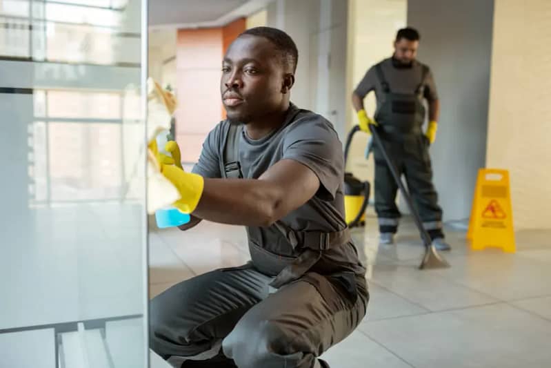 Professional Cleaning Service